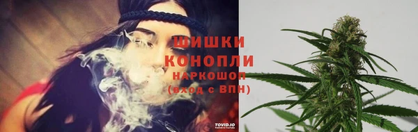 PSILOCYBIN Алексеевка