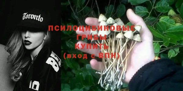 PSILOCYBIN Алексеевка