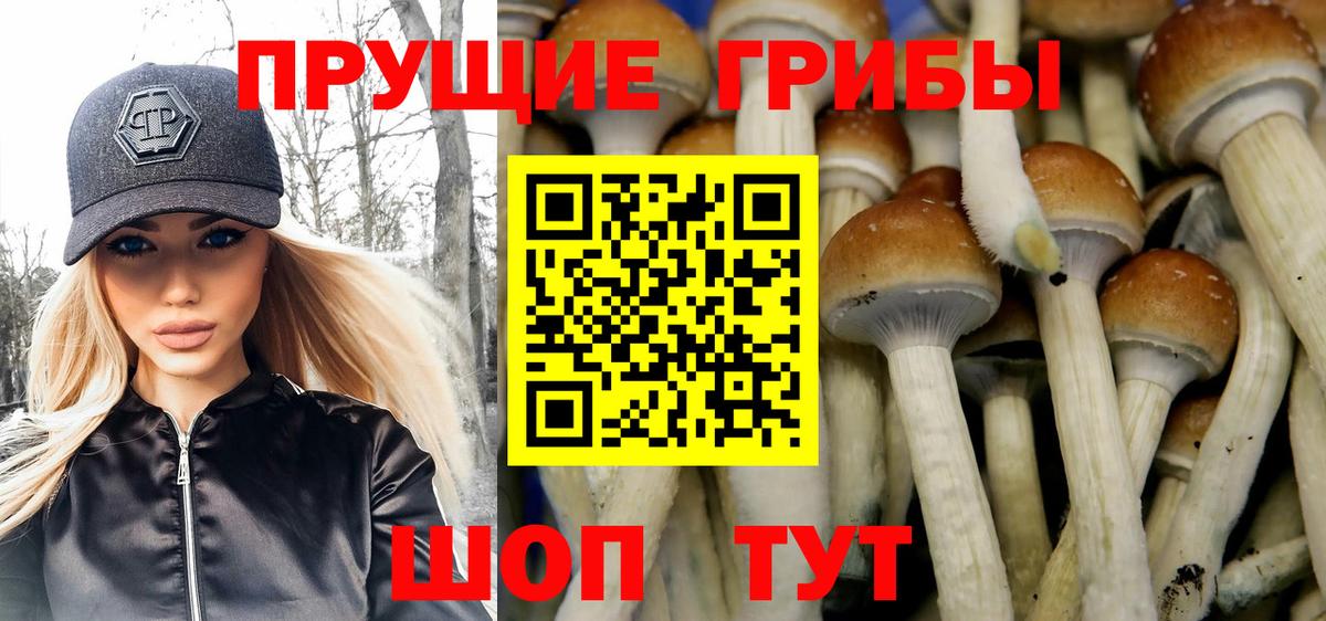 Аргун  Галлюциногенные грибы Cubensis  Псилоцибиновые грибы мухоморы  купить наркоту  Вход с VPN 