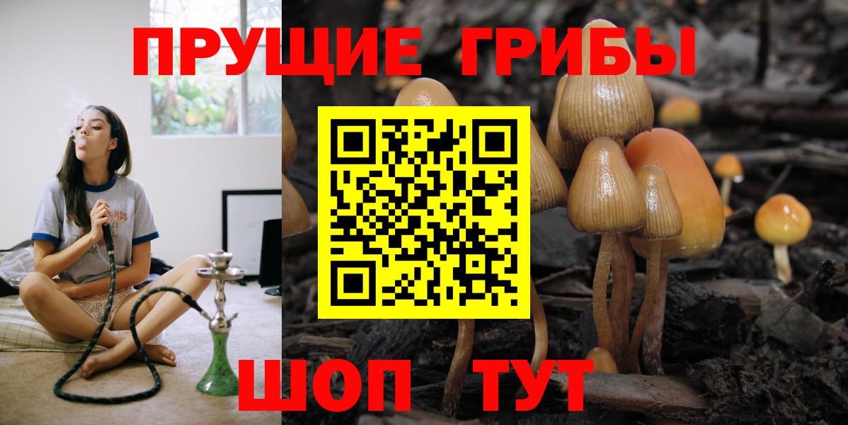 Псилоцибиновые грибы Cubensis Аргун
